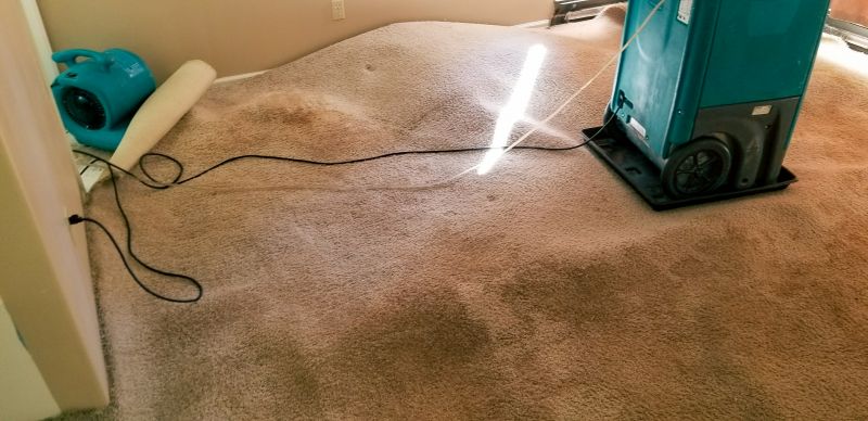 Carpet Restoration Services